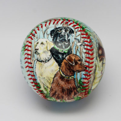 Labrador Retriever Baseball