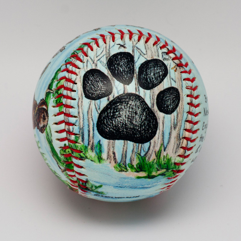 Labrador Retriever Baseball - Image 4