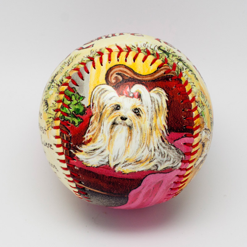 Yorkshire Terrier Baseball