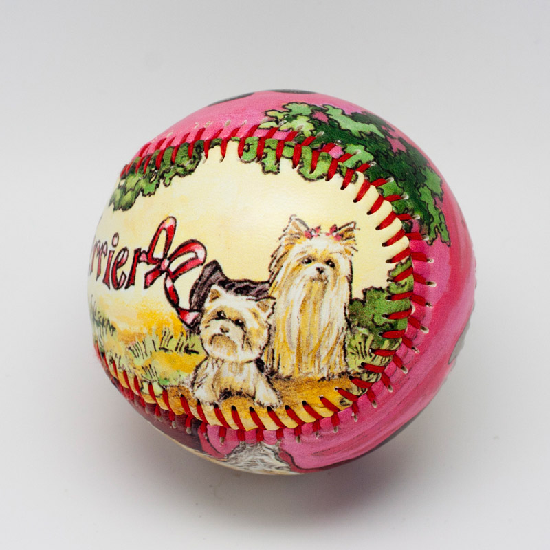 Yorkshire Terrier Baseball - Image 4