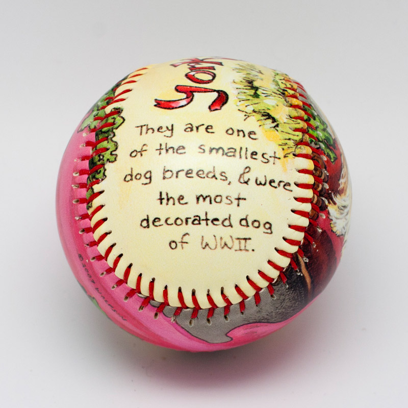 Yorkshire Terrier Baseball - Image 5