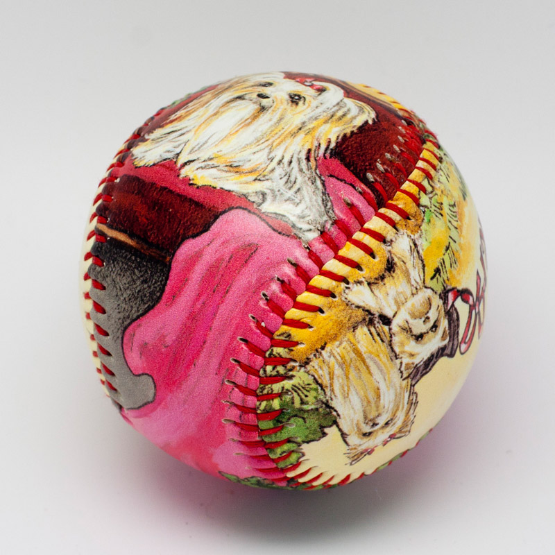 Yorkshire Terrier Baseball - Image 6