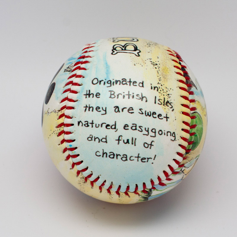 Bulldog Baseball - Image 5