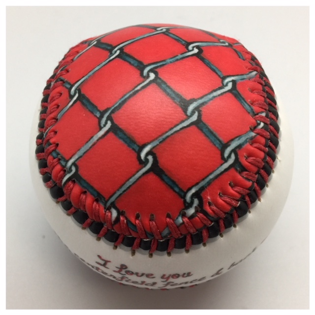 Centerfield Fence - Image 5