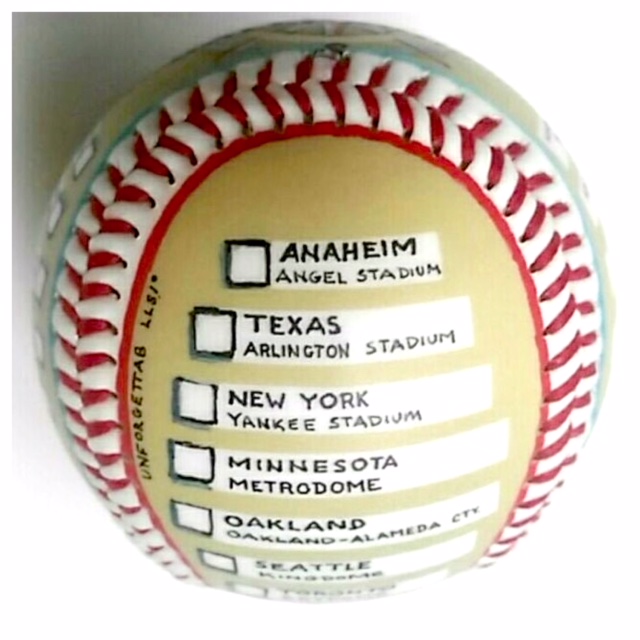 Visiting-All-Ballparks-Past - Image 4
